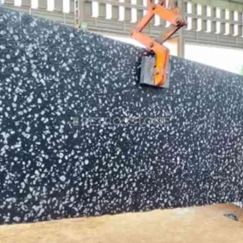 Coin Black Granite