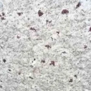 Moon White Granite