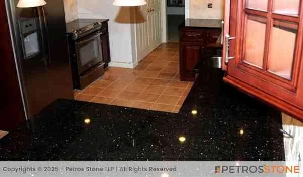 Black Galaxy Golden Star Granite Flooring