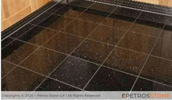 Coin Black Granite Flooring