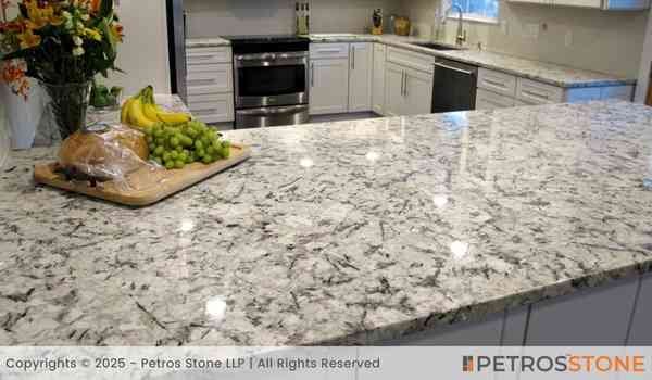 Fish White Granite Countertop